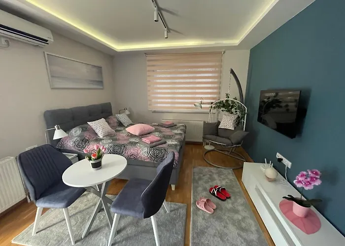 Apartman Spa Backa